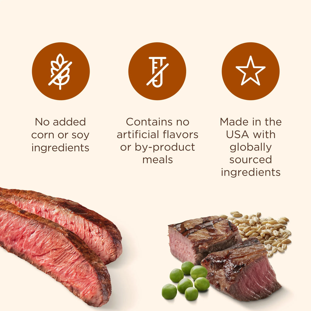 Soup Bones Premium Dog Chews with Real Beef and Barley, 11 Chews (Rachael Ray)