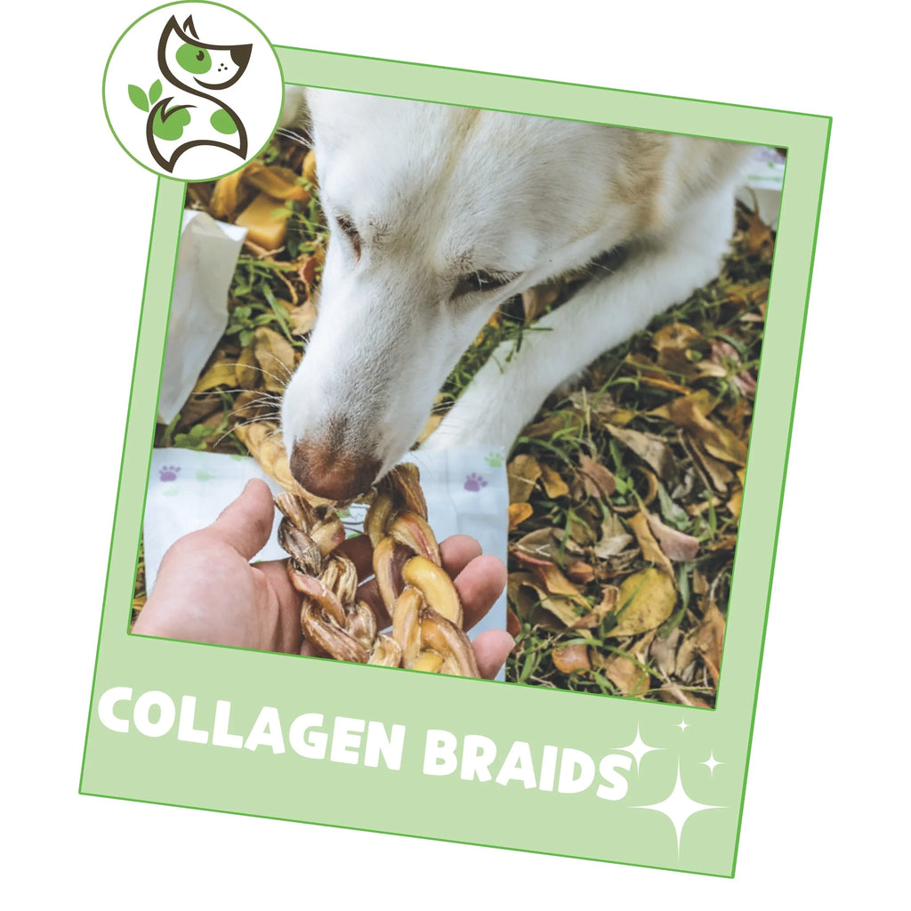 Collagen Braids, Natural Dog Chew Treats (5 Count)