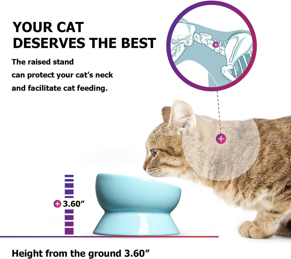 Ceramic 15 Ounce Slanted Cat Food Water Bowl, Lake Blue