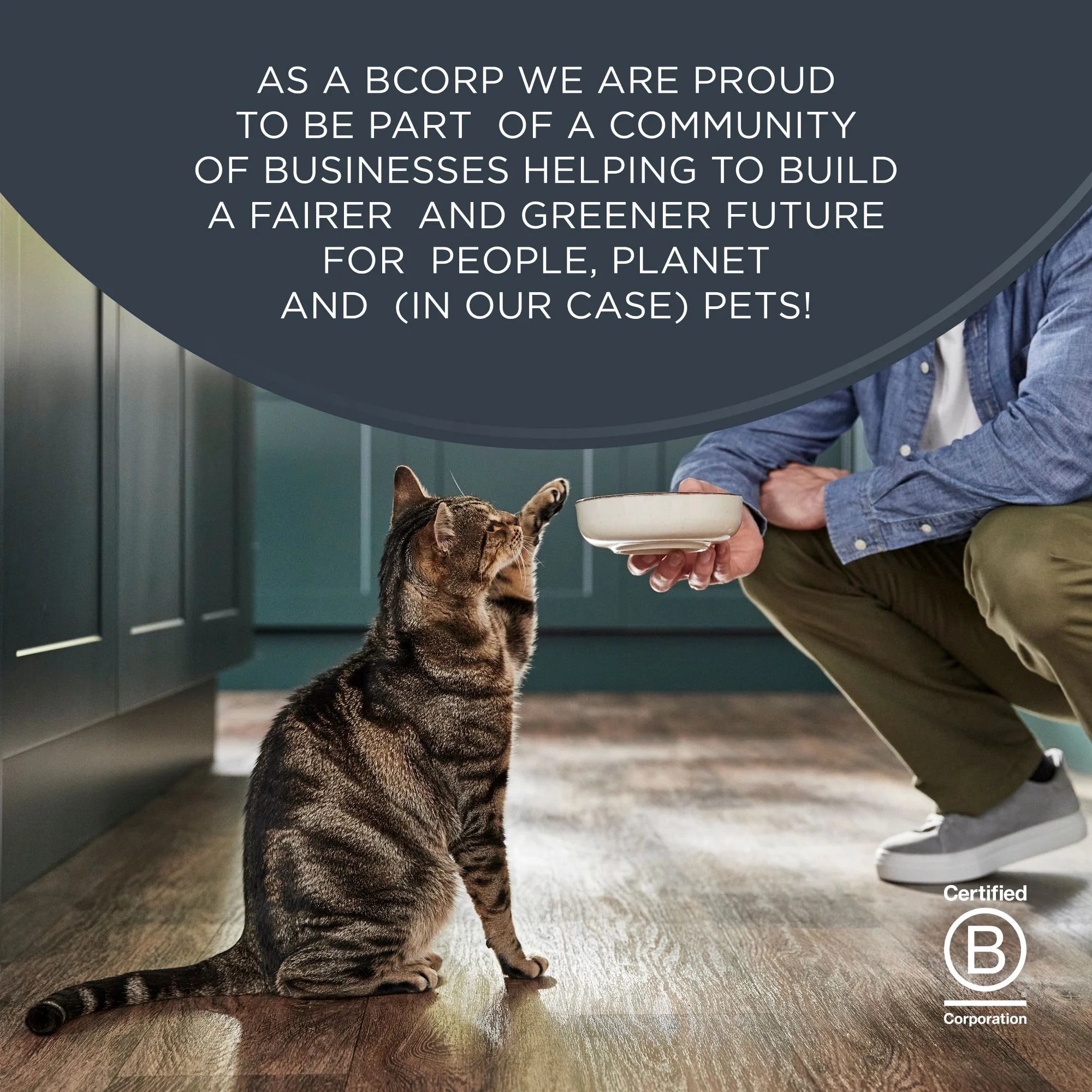 Pet Food Natural Wet Cat Food, Fish & Chicken in Broth Variety Pack, 12 X 2.47Oz Pouches